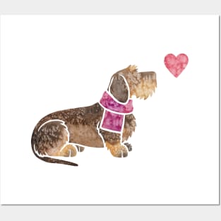 Wirehaired Dachshund watercolour Posters and Art